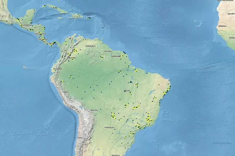 Clitoria falcata Native Range