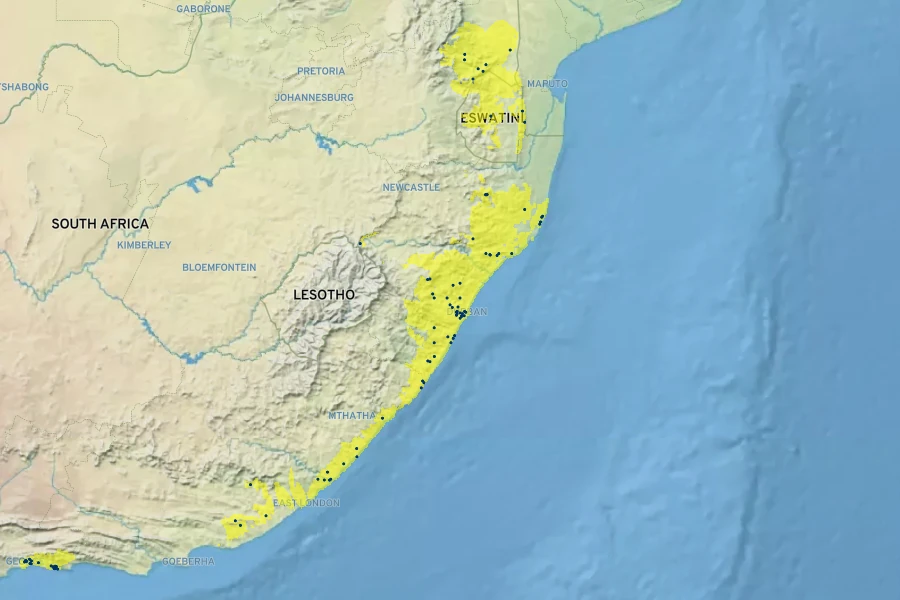 Clivia miniata Native Range