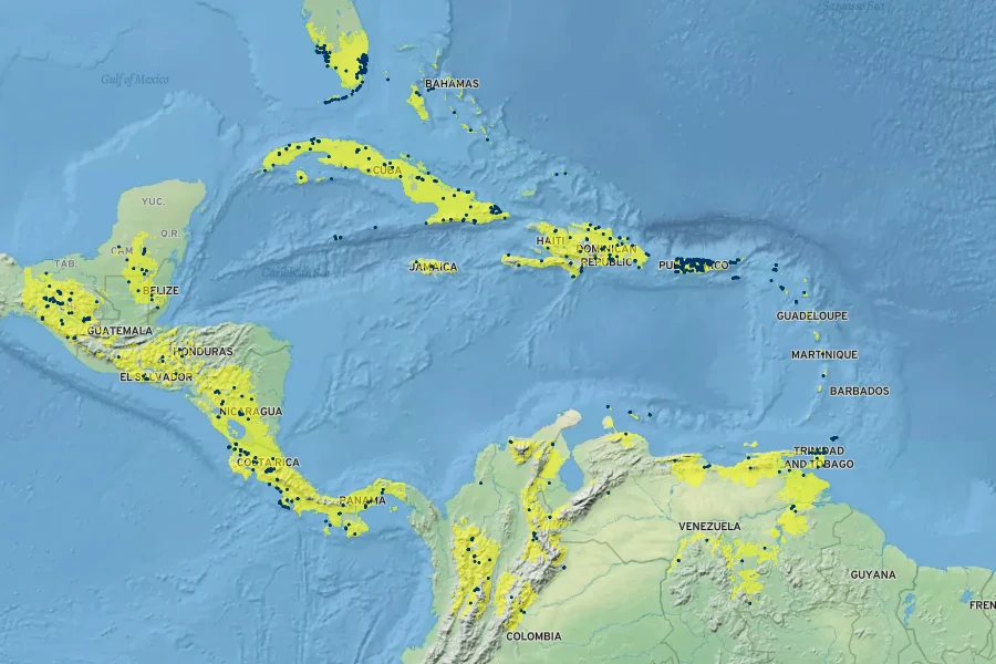 Clusia rosea Native Range