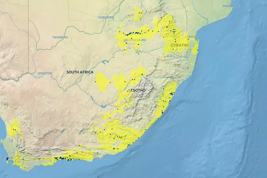 Clutia pulchella Native Range