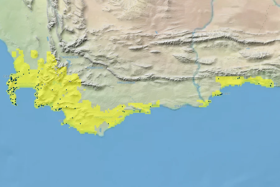 Coleonema album Native Range