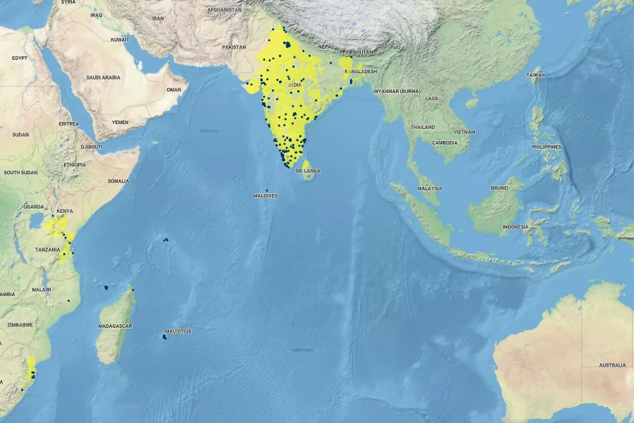 Coleus amboinicus Native Range