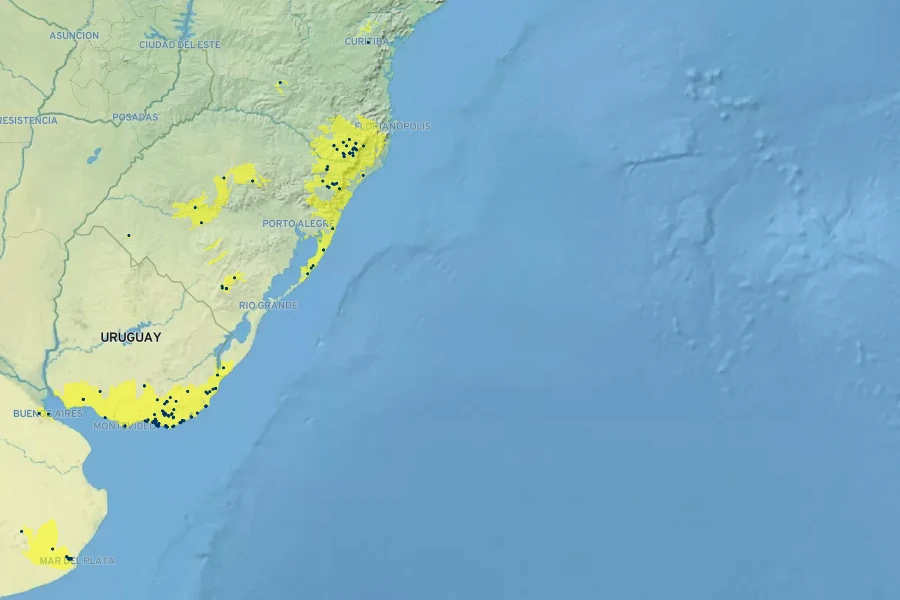 Colletia paradoxa Native Range