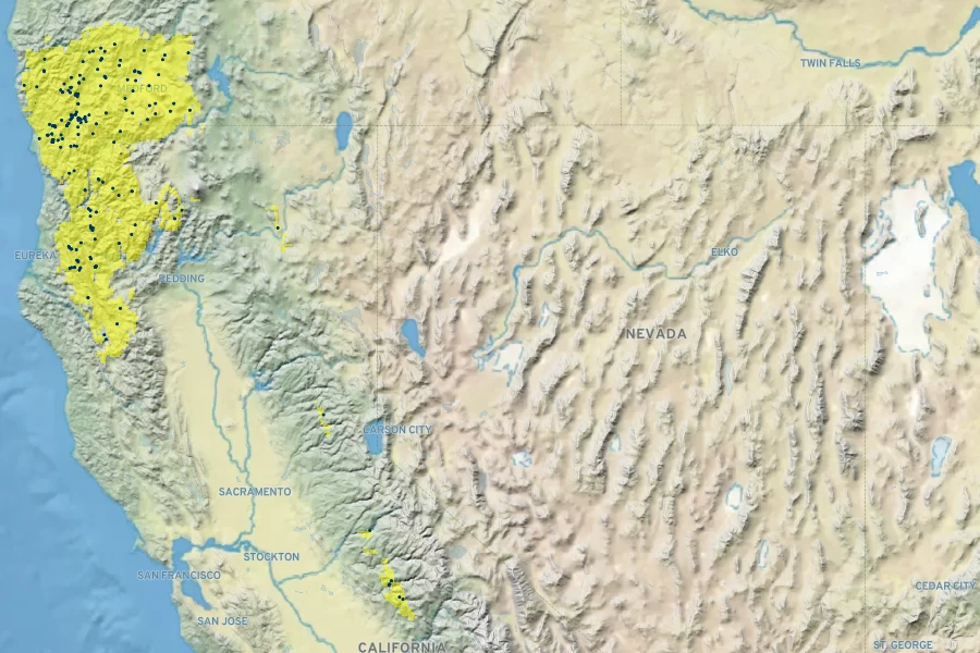 Collinsia linearis Native Range