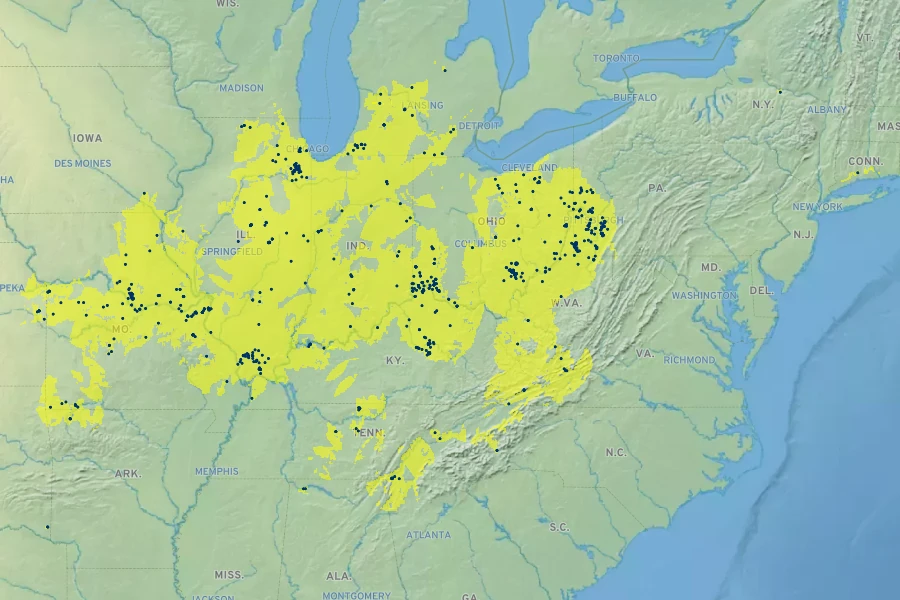 Collinsia verna Native Range