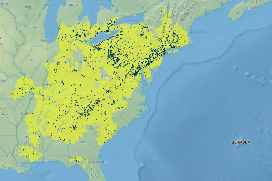 Collinsonia canadensis Native Range
