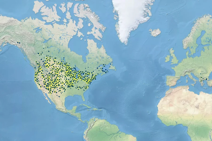 Comandra umbellata Native Range
