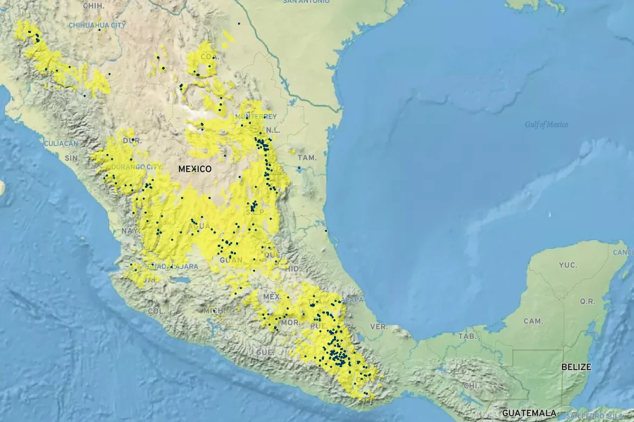 Comarostaphylis polifolia Native Range