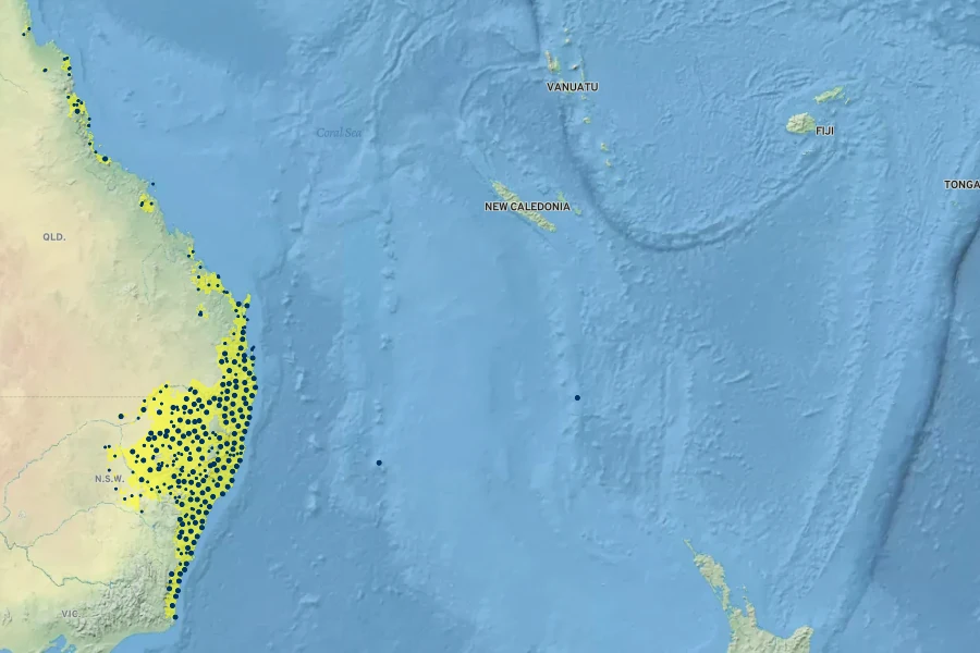 Commelina cyanea Native Range