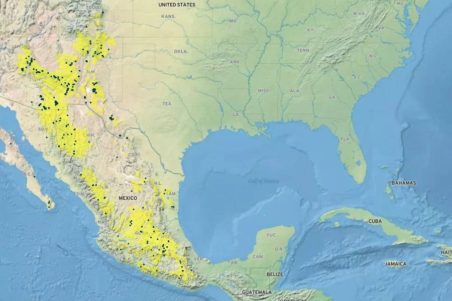 Commelina dianthifolia Native Range