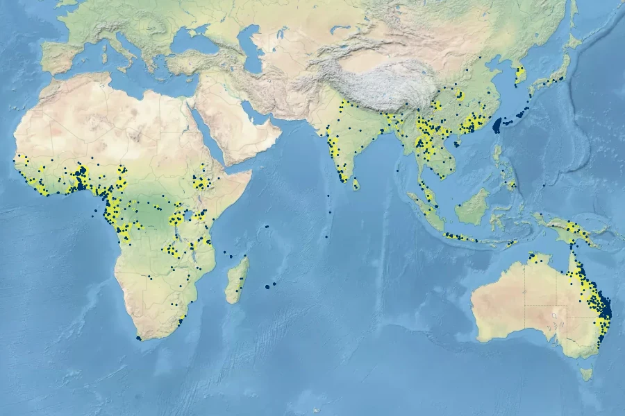 Commelina diffusa Native Range
