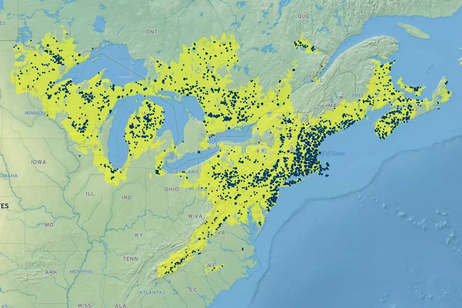Comptonia peregrina Native Range