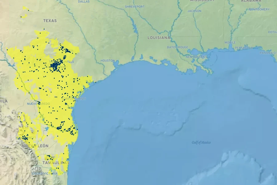 Condalia hookeri Native Range