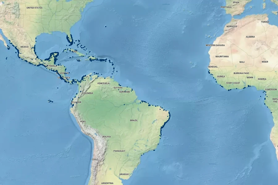 Conocarpus erectus Native Range