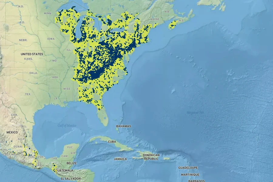 Conopholis americana Native Range