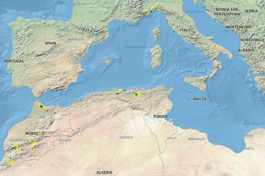 Convolvulus sabatius Native Range