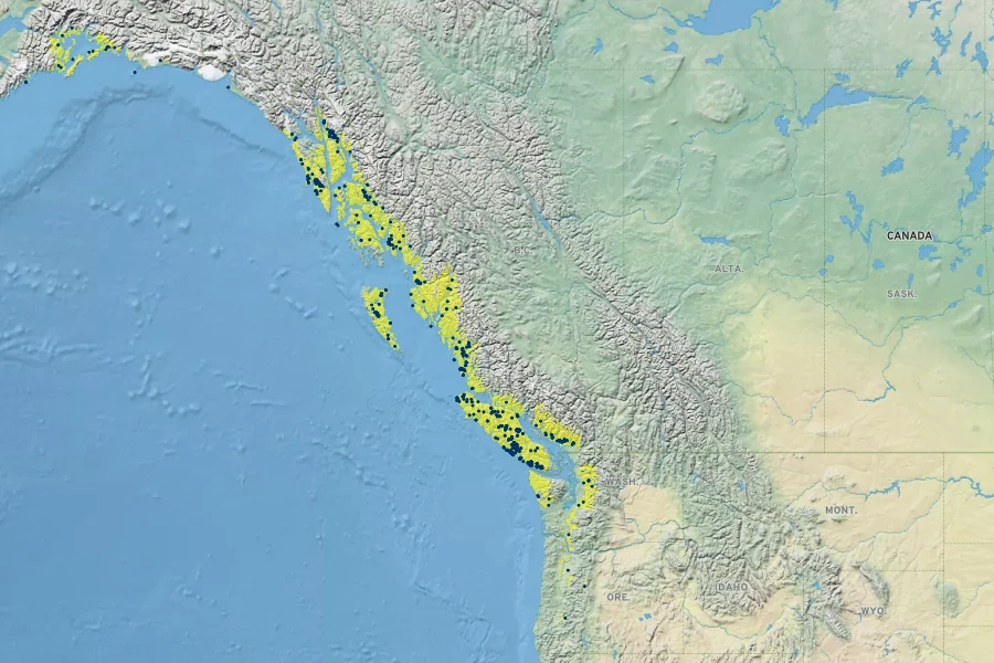 Coptis aspleniifolia Native Range