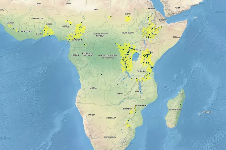 Cordia africana Native Range
