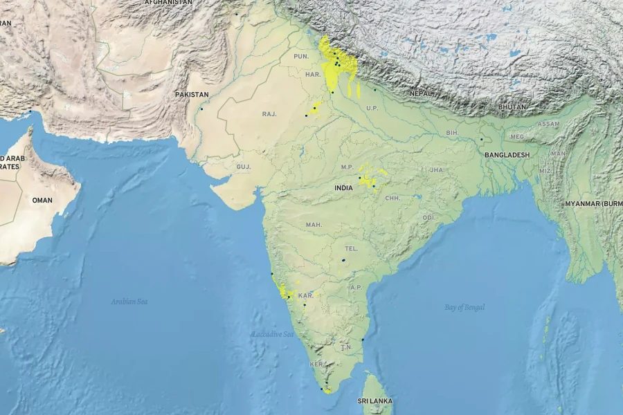 Cordia myxa Native Range