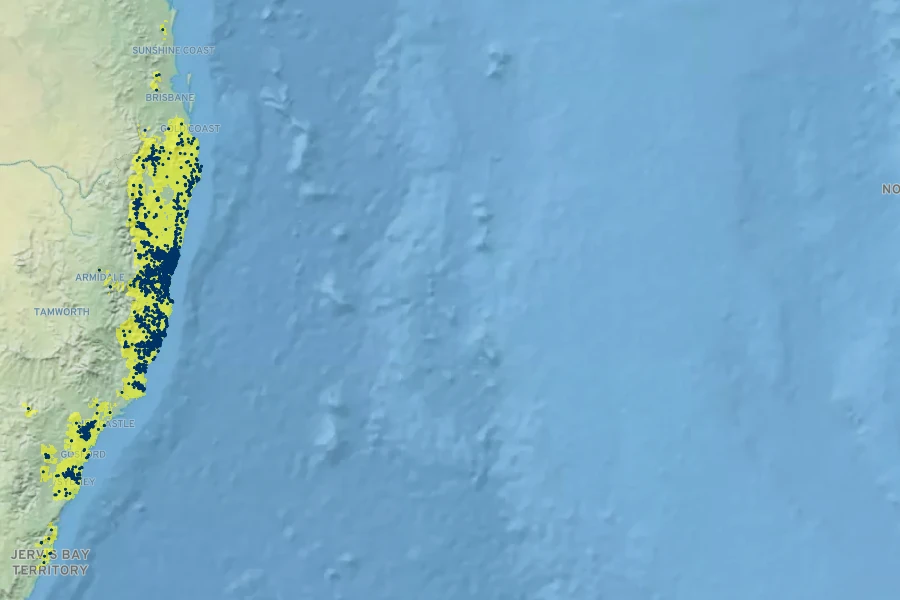 Cordyline stricta Native Range