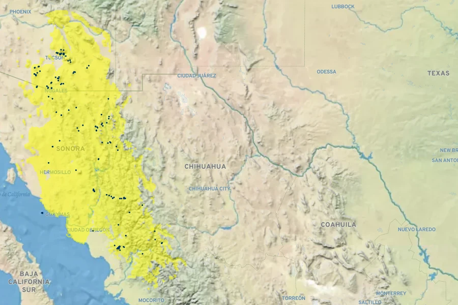 Coreocarpus arizonicus Native Range