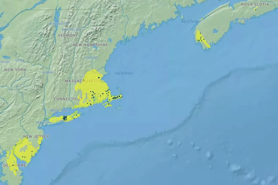 Coreopsis rosea Native Range
