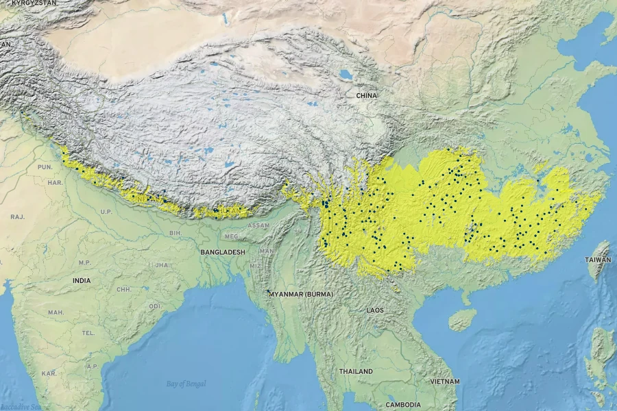 Cornus capitata Native Range