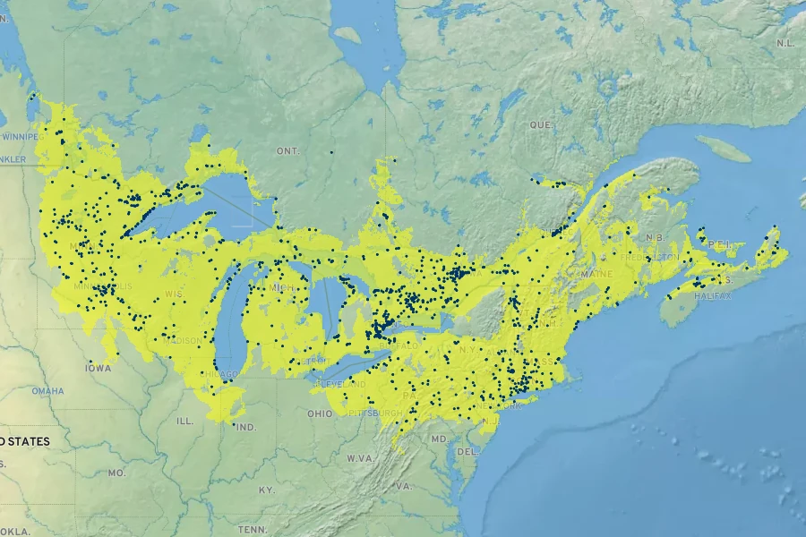 Cornus rugosa Native Range