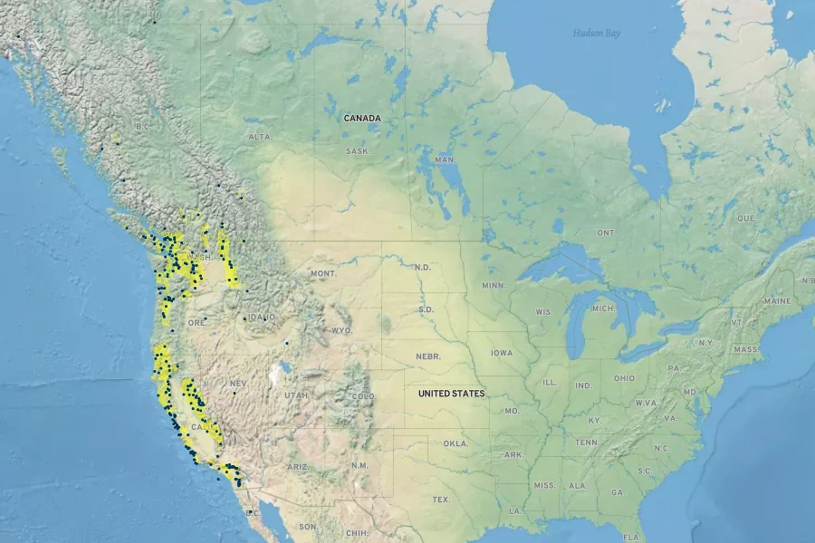 Cornus sericea subsp. occidentalis Native Range