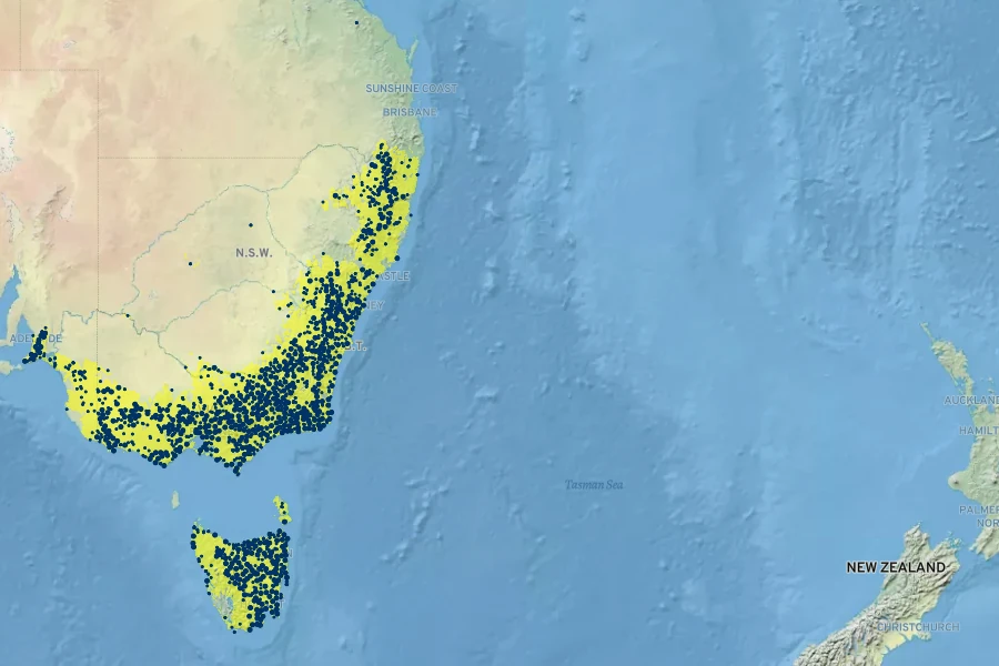 Coronidium scorpioides Native Range