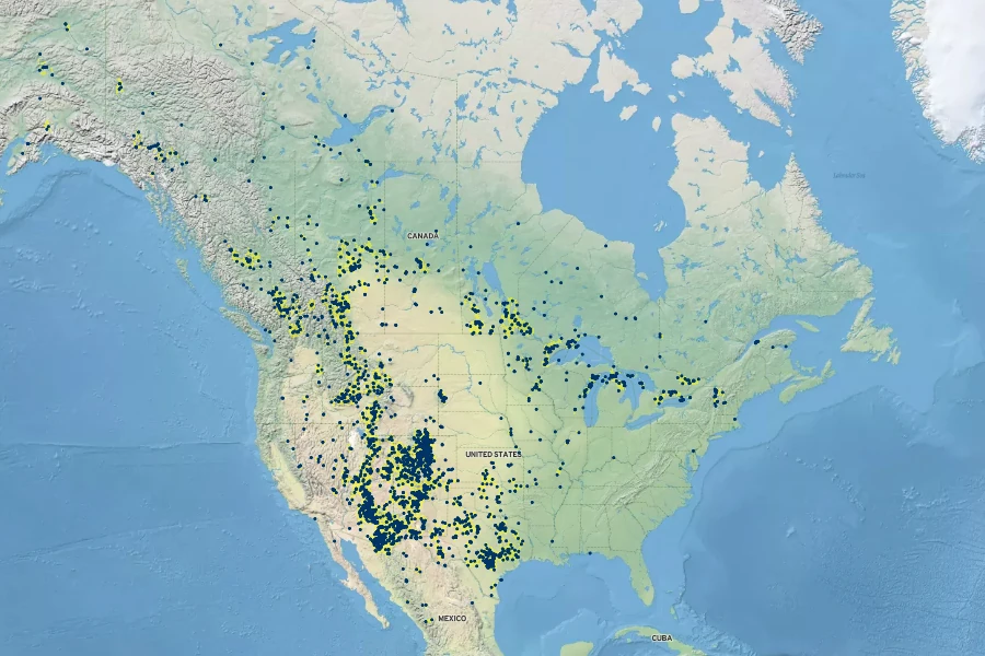 Corydalis aurea Native Range