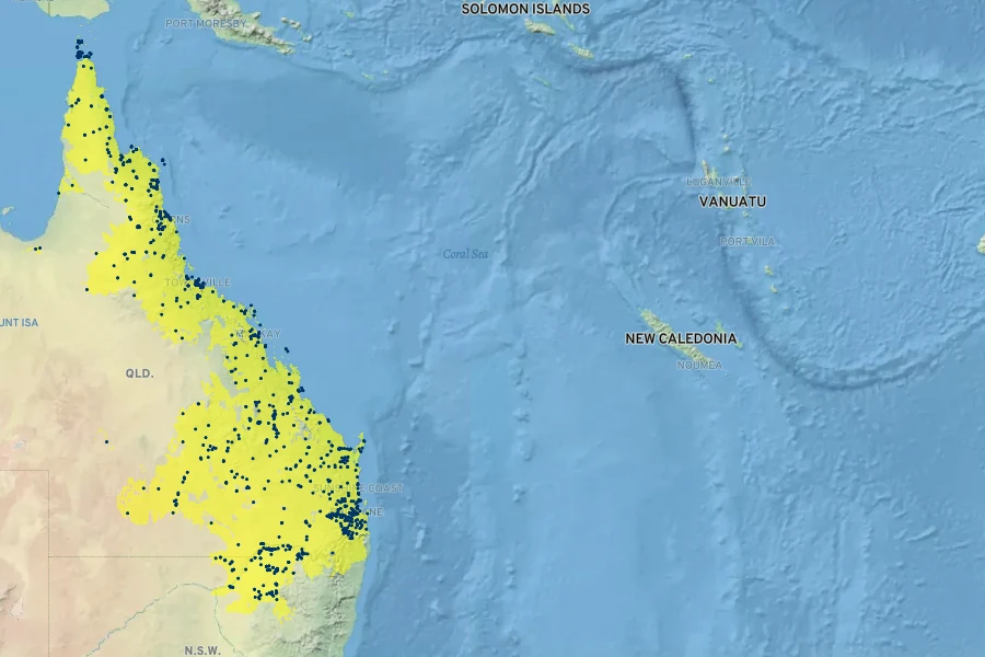 Corymbia tessellaris Native Range