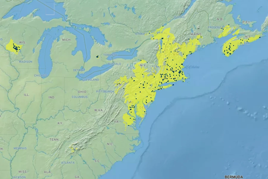 Coryphopteris simulata Native Range