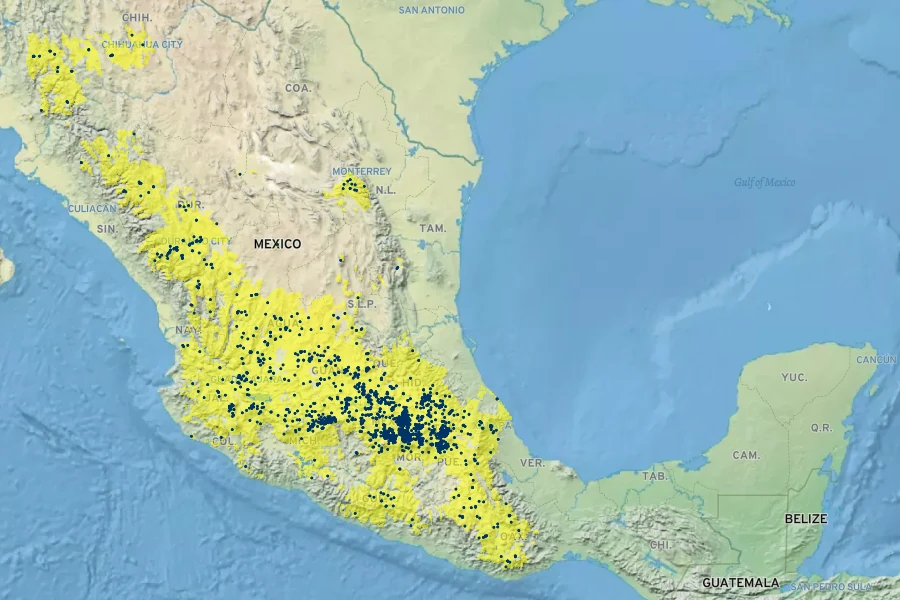 Cosmos bipinnatus Native Range