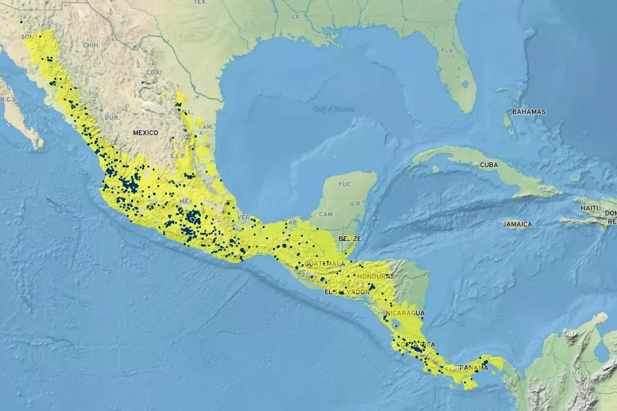 Cosmos sulphureus Native Range