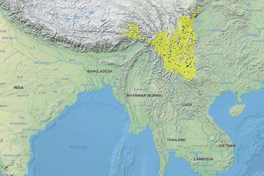 Cotoneaster buxifolius Native Range