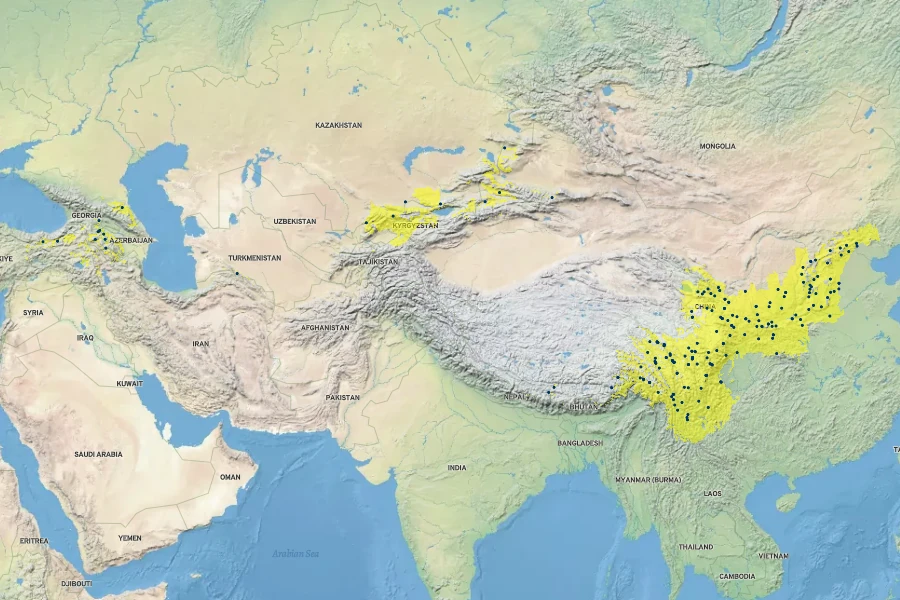 Cotoneaster multiflorus Native Range