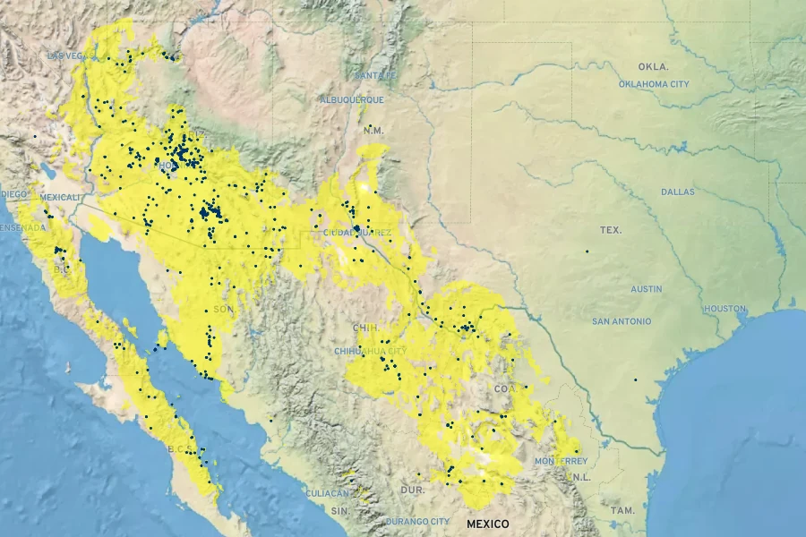Cottsia gracilis Native Range