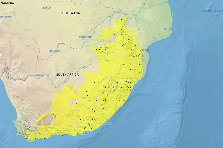 Cotyledon orbiculata var. oblonga Native Range