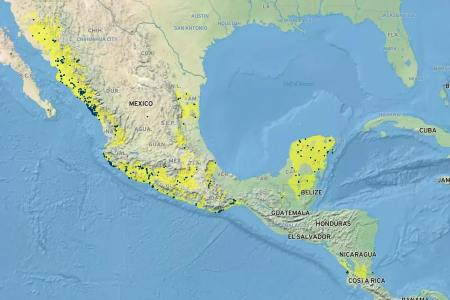 Coulteria platyloba Native Range