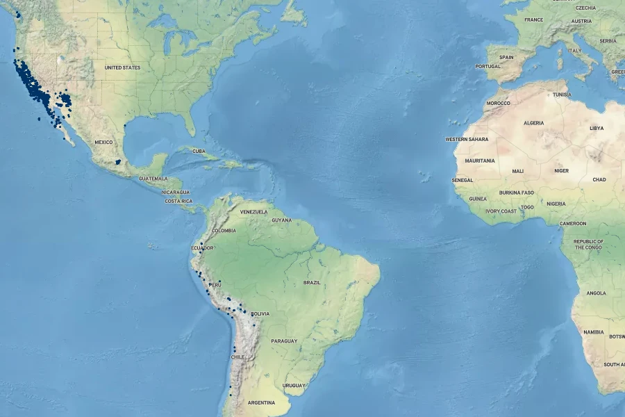 Crassula connata Native Range