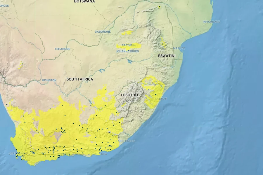 Crassula corymbulosa Native Range
