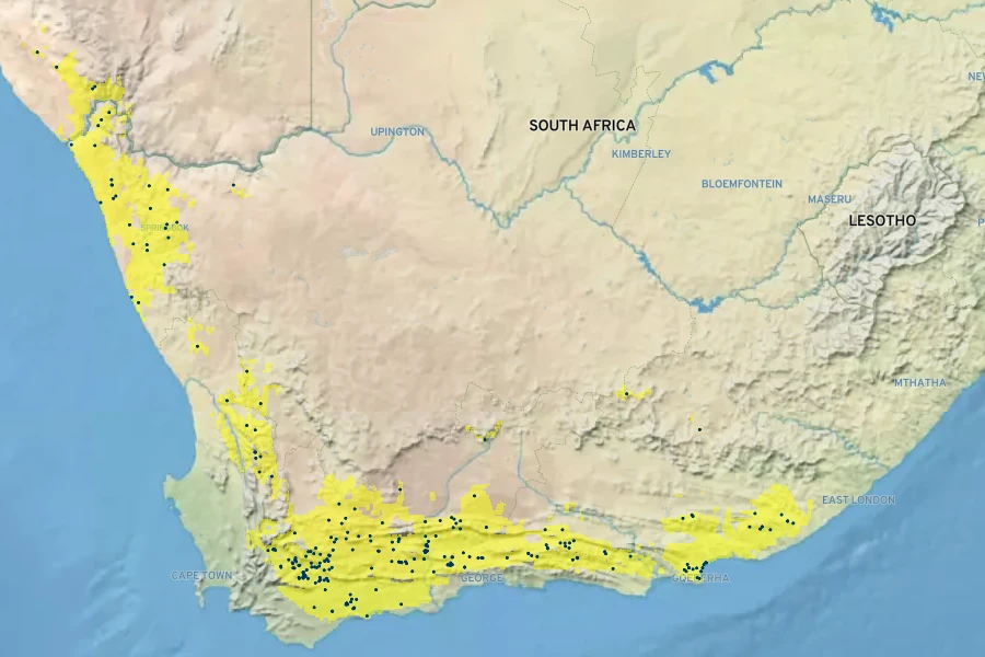 Crassula cotyledonis Native Range
