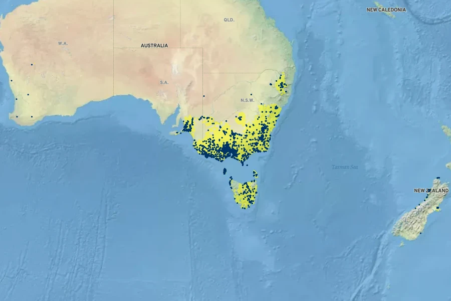 Crassula helmsii Native Range