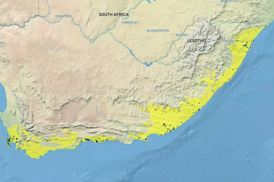 Crassula multicava Native Range