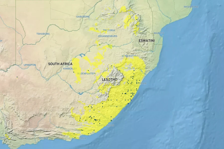 Crassula obovata Native Range