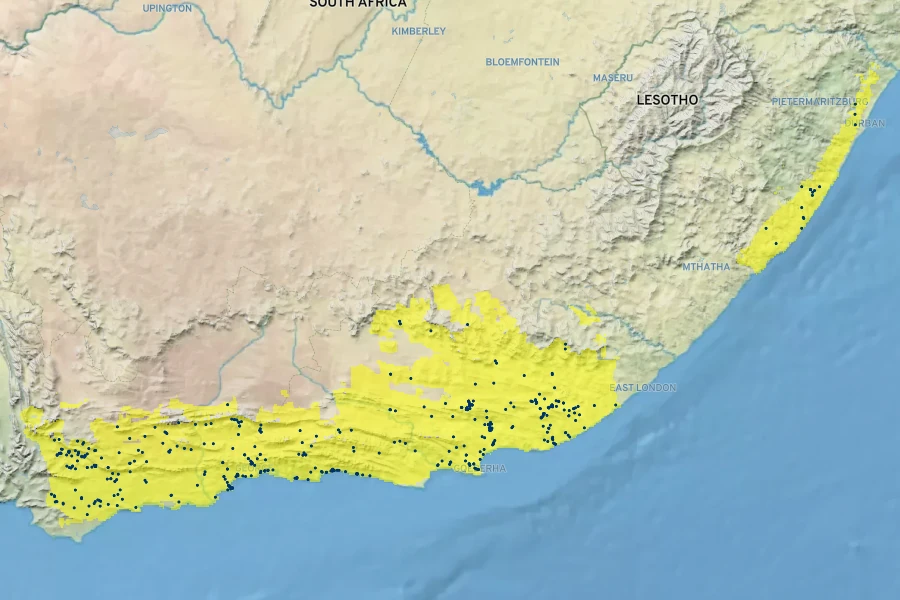Crassula perforata Native Range