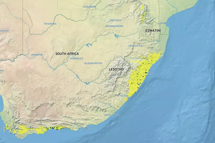 Crassula sarmentosa Native Range