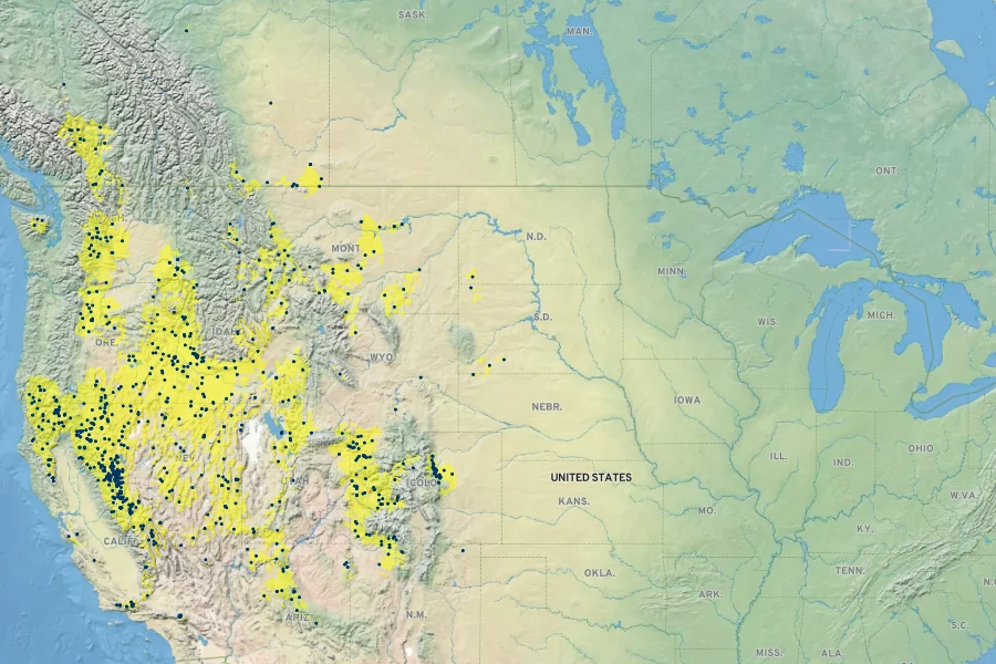 Crepis occidentalis Native Range