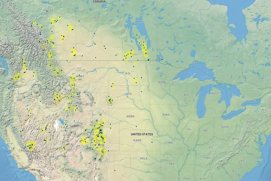 Crepis runcinata Native Range